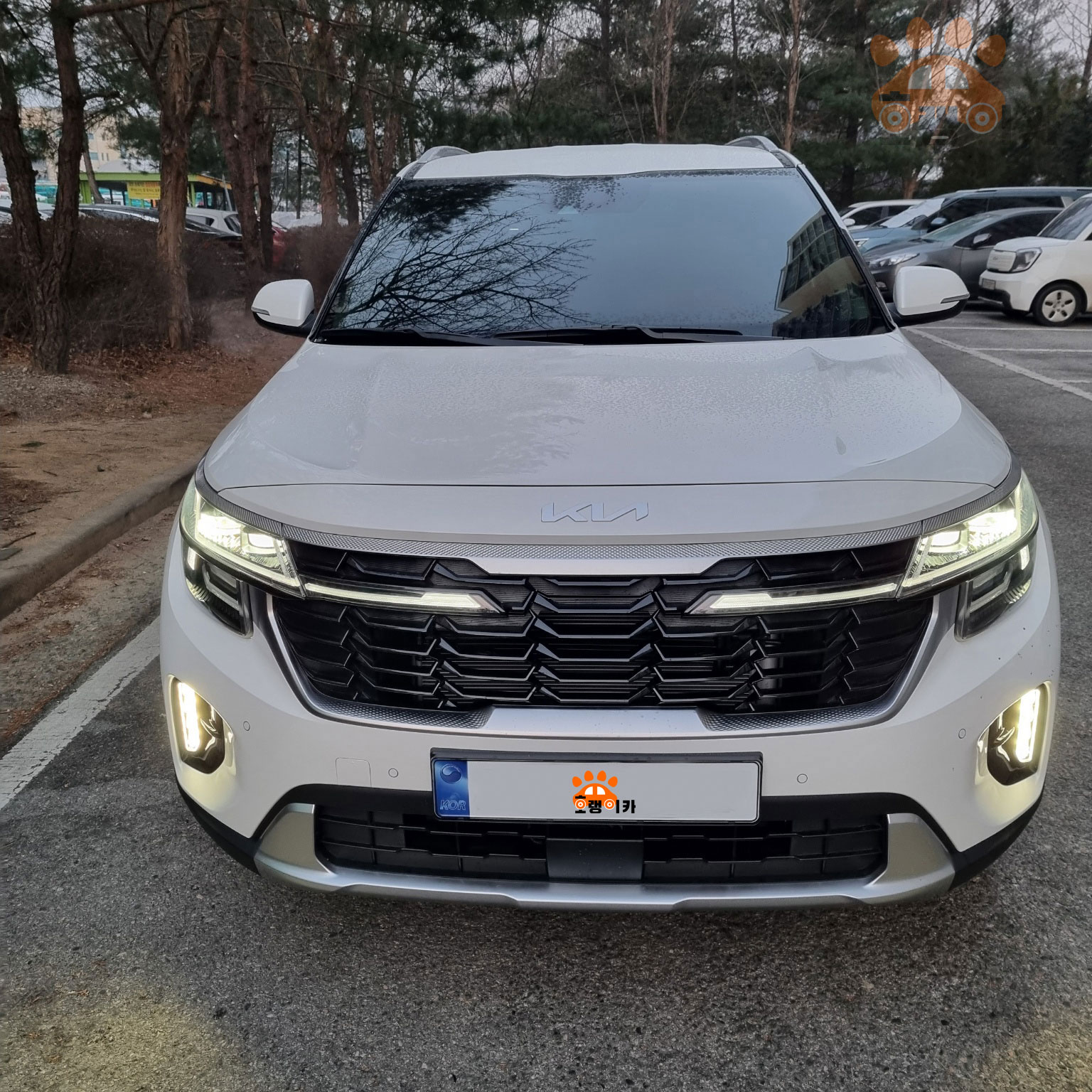 제품명